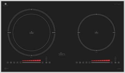 Bếp từ Topy TP-A6868 Plus